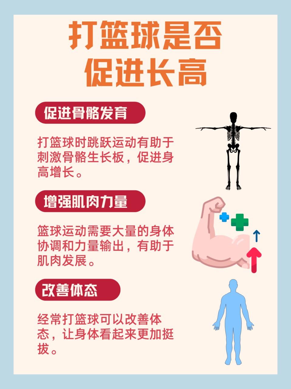 儿童篮球基本功训练内容怎么写的_0